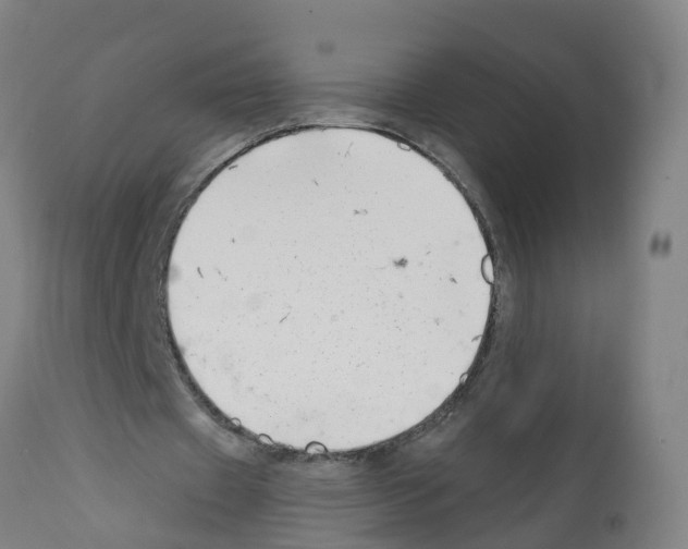 X0000112390433200909241242