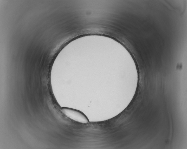 X0000112390434200909241242