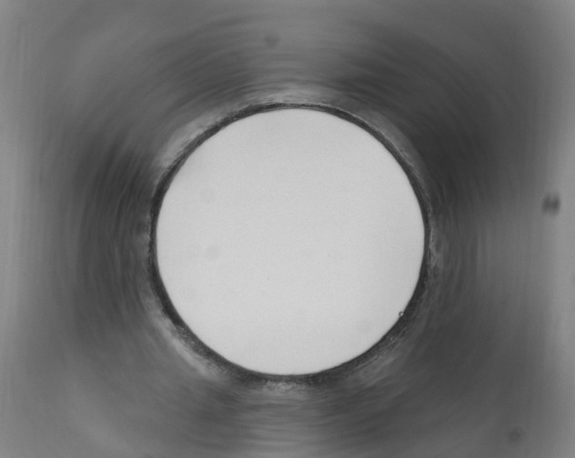 X0000112390437200909241242