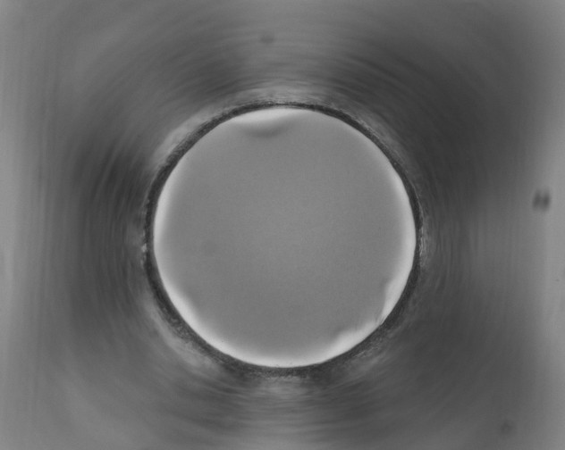 X0000112390438200909241242