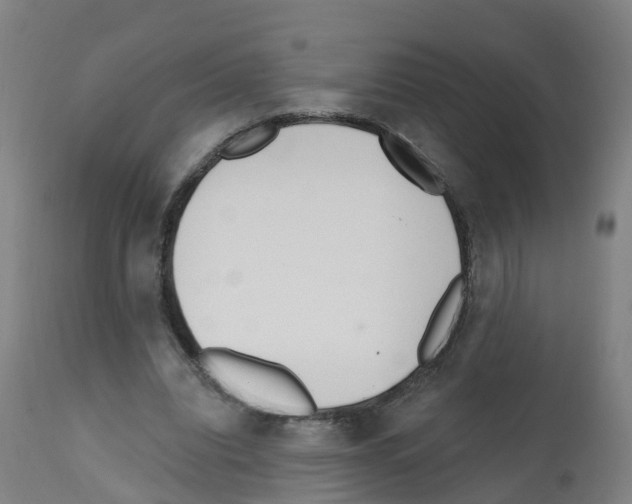 X0000112390440200909241243