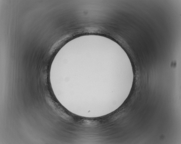 X0000112390442200909241243
