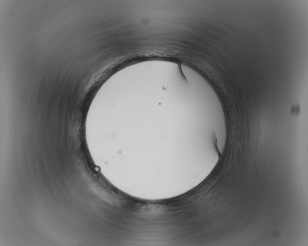 X0000112390444200909241243