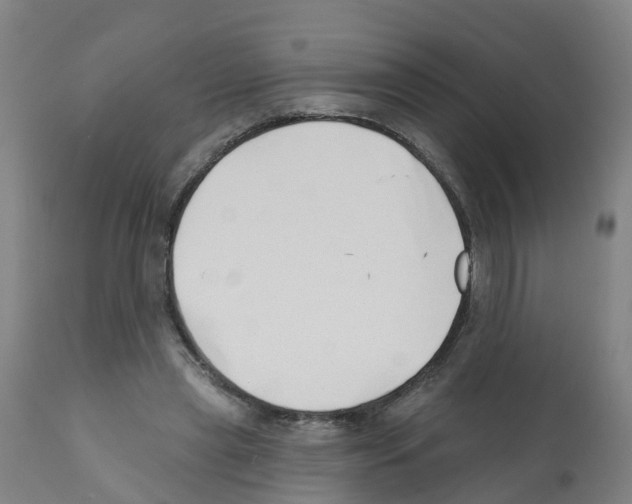 X0000112390445200909241243
