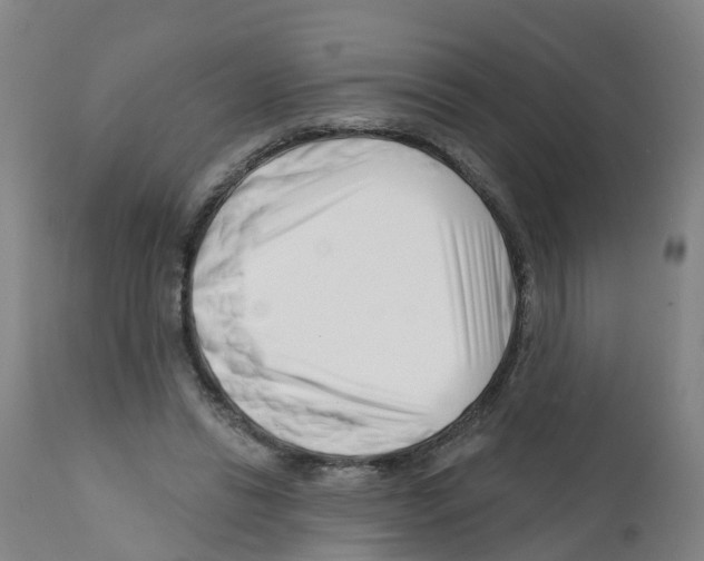 X0000112390446200909241243