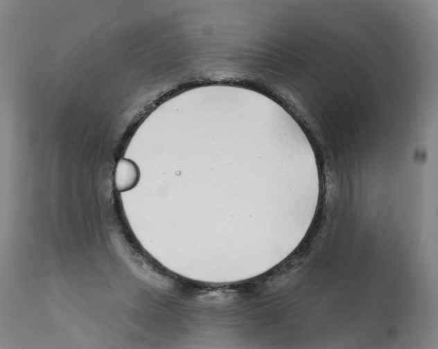 X0000112390447200909241243