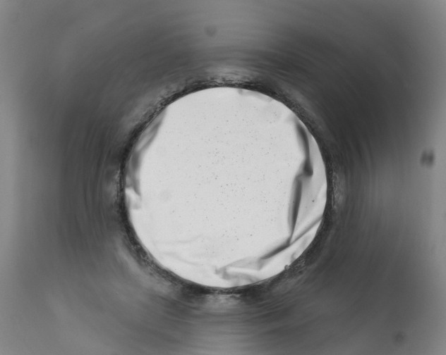 X0000112390451200909241243