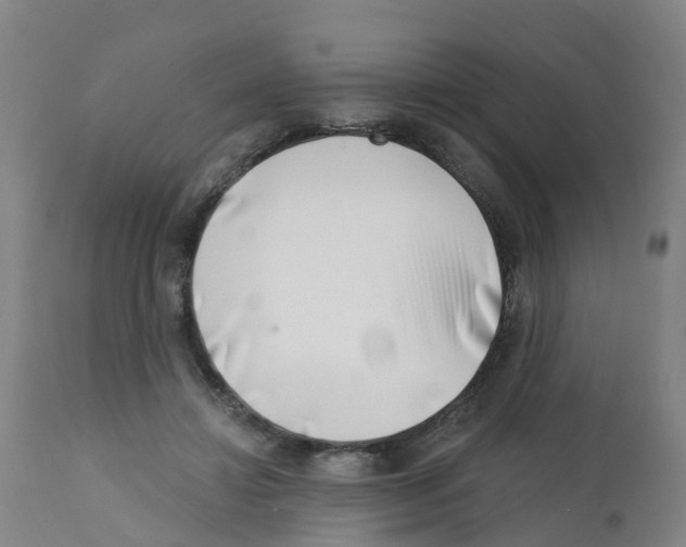 X0000112390452200909241243