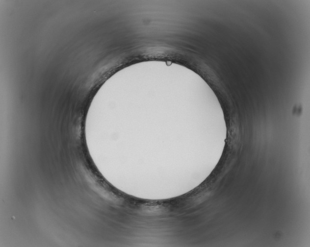 X0000112390454200909241243