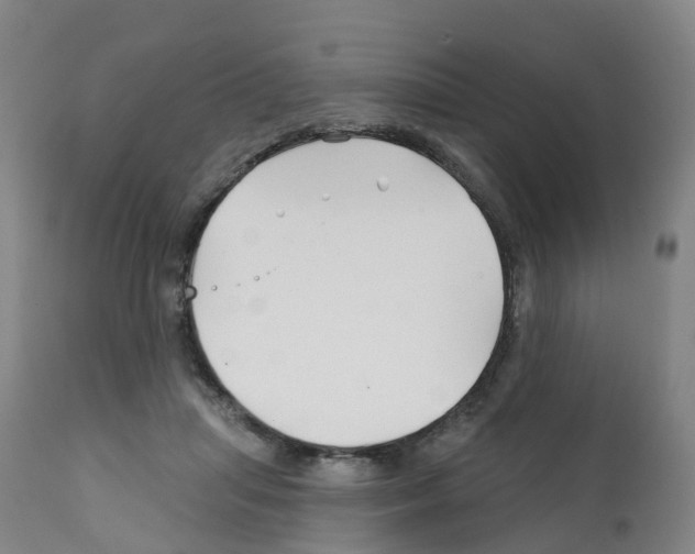 X0000112390455200909241243