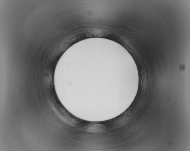 X0000112390459200909241243