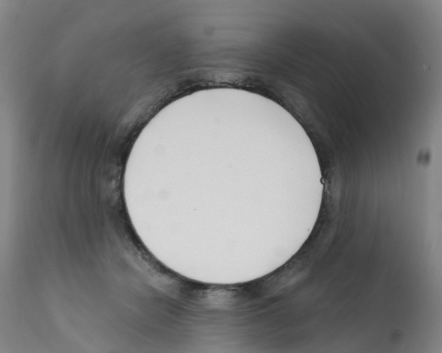 X0000112390462200909241243