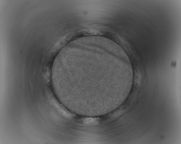 X0000112390465200909241243