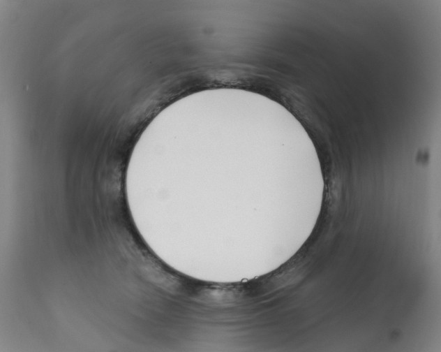 X0000112390466200909241243