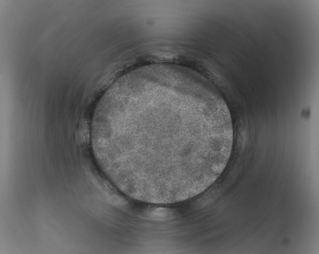 X0000112390467200909241243