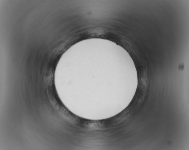 X0000112390468200909241243