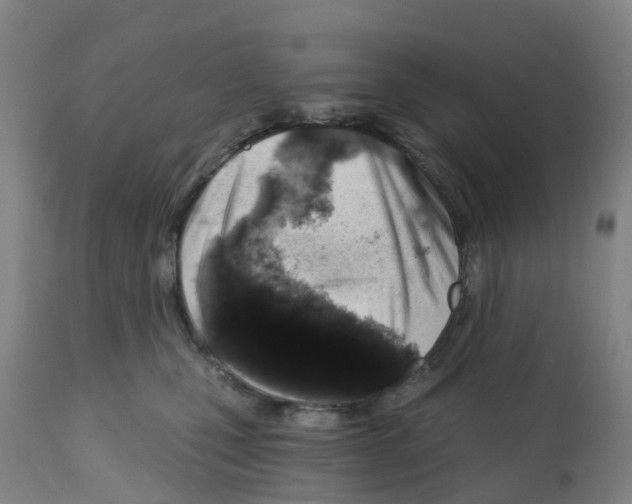 X0000112390471200909241243