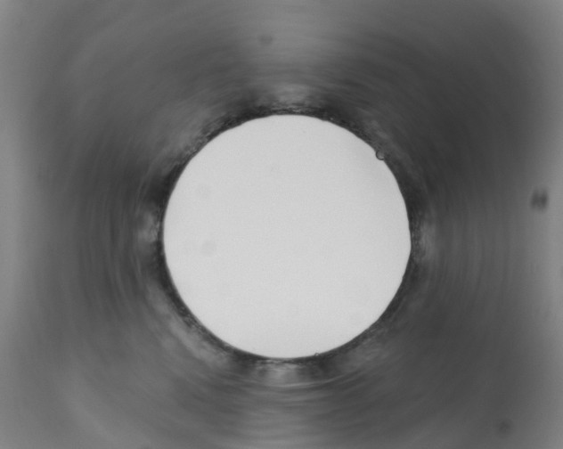 X0000112390472200909241243