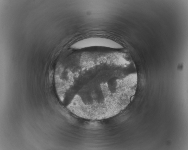 X0000112390475200909241243