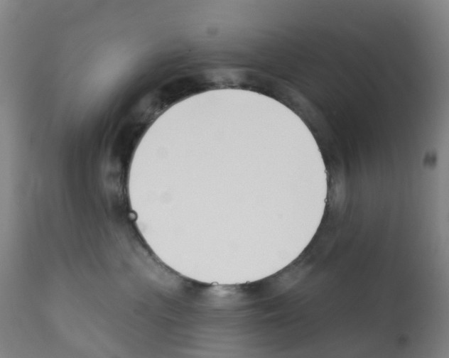 X0000112390477200909241243