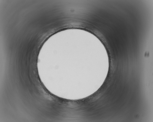 X0000112390481200909241242