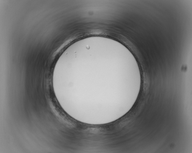 X0000112390482200909241242