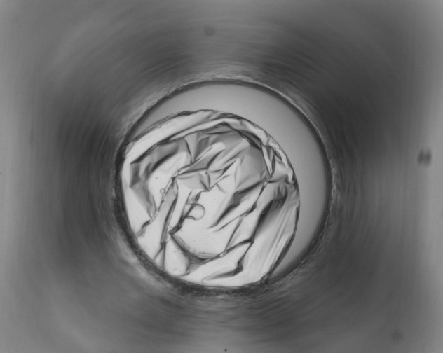 X0000112390485200909241242