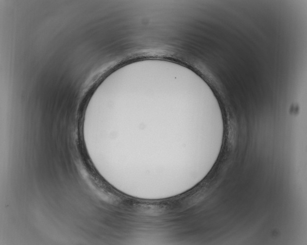 X0000112390486200909241242