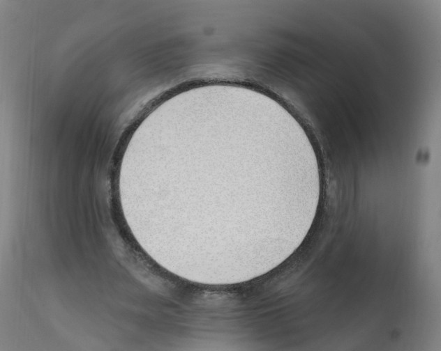 X0000112390487200909241242