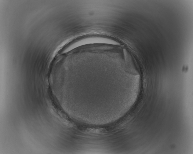 X0000112390488200909241242