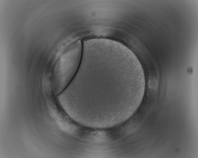 X0000112390492200909241242