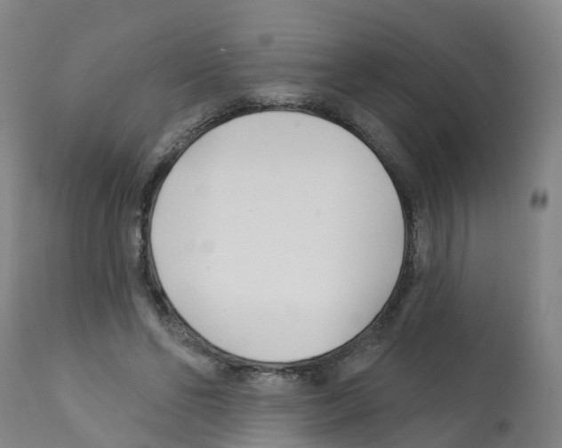 X0000112390494200909241242
