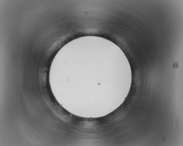 X0000112390495200909241242