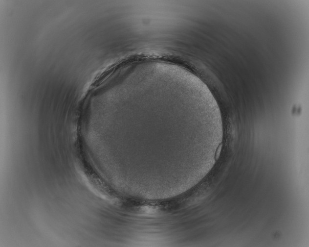 X0000112390496200909241242
