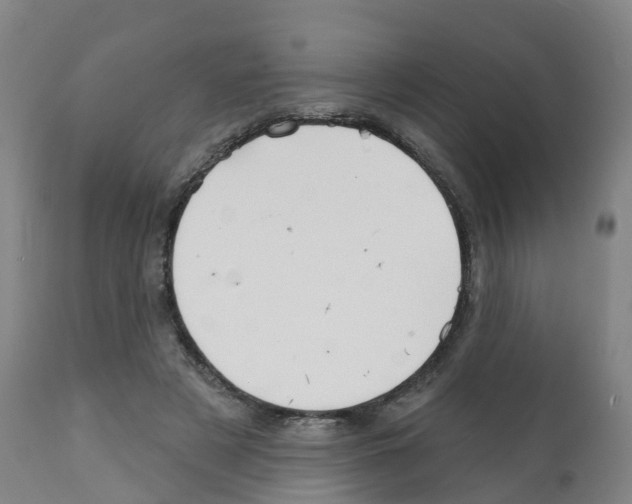 X0000112390497200909241242