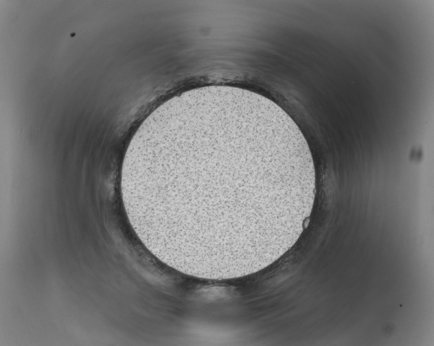 X0000112390499200909241242