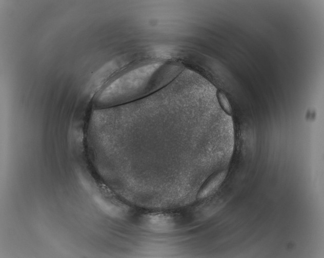 X0000112390500200909241242