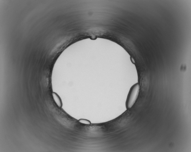 X0000112390501200909241242