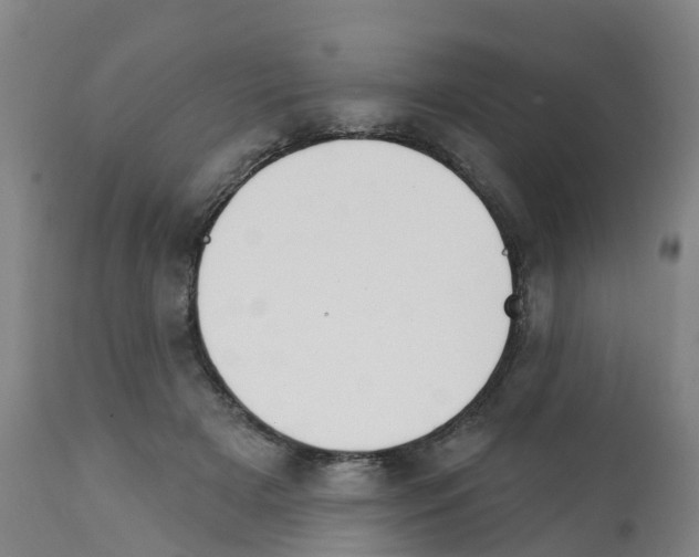 X0000112390505200909241242