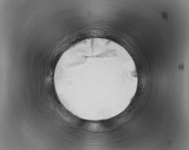 X0000112390507200909241242