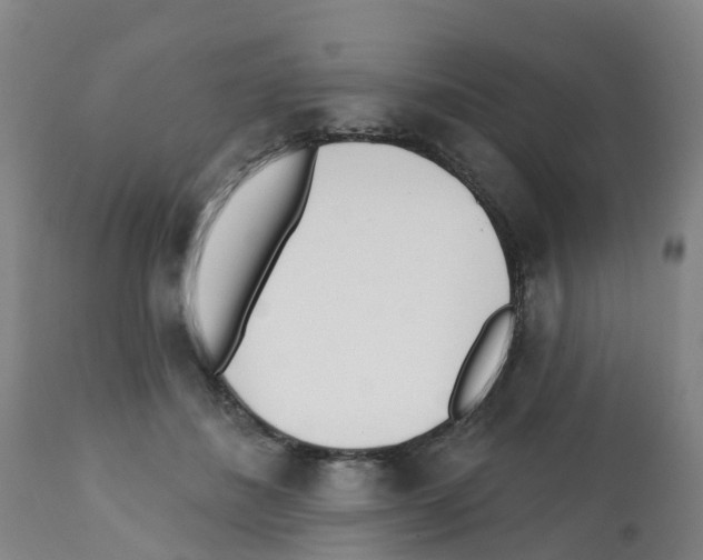 X0000112390508200909241242
