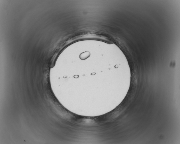 X0000112390509200909241242