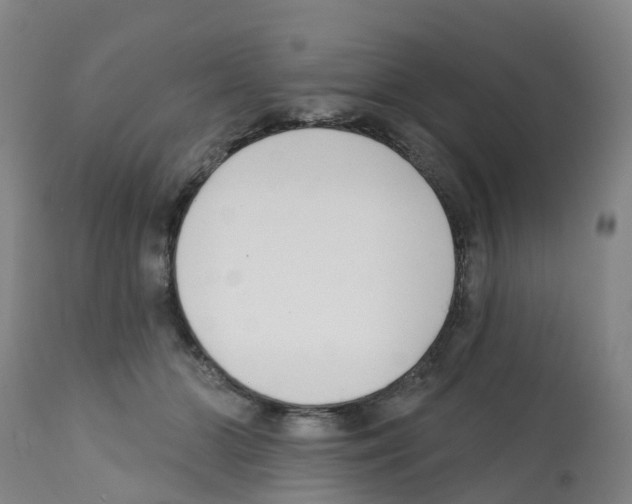 X0000112390510200909241242