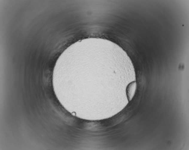 X0000112390511200909241242