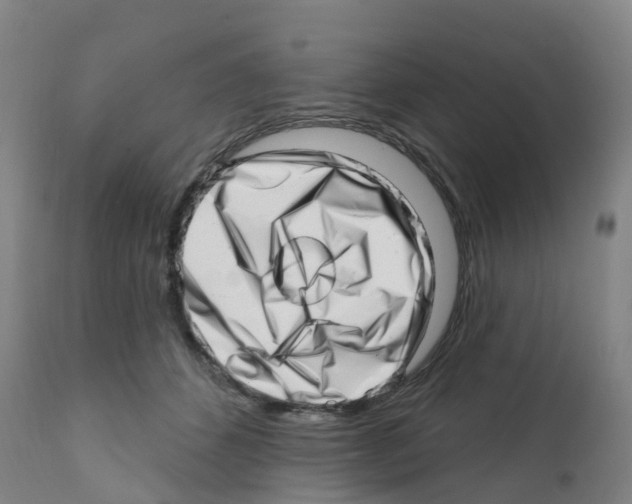 X0000112390512200909241242