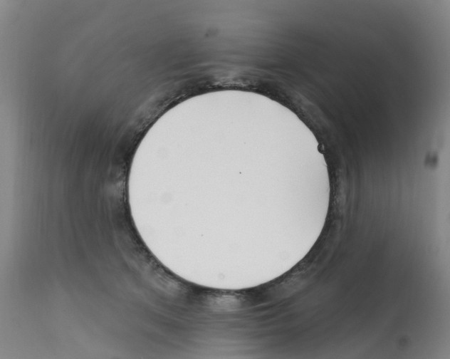 X0000112390513200909241242