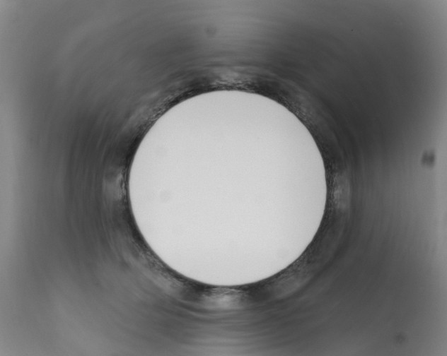 X0000112390514200909241242