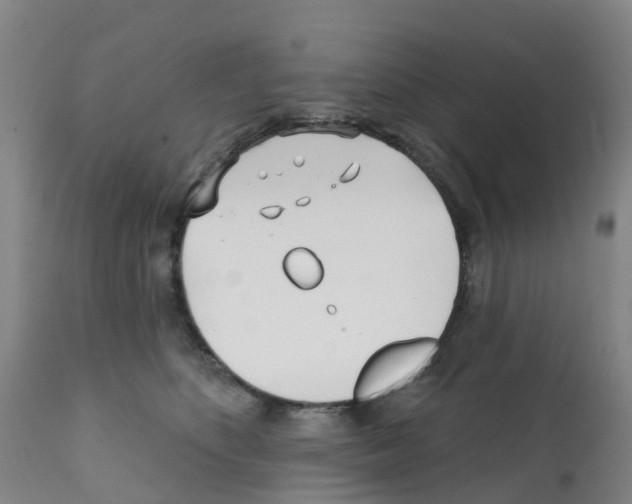 X0000112390516200909241242
