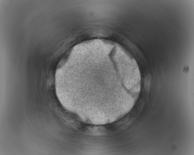 X0000112390517200909241242