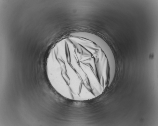 X0000112390520200909241242